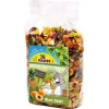 JR Obst-Salat Nagerleckerbissen 200g