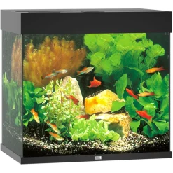Juwel Aquarium Lido 120 61x41x58cm schwarz