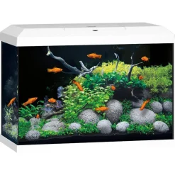 Juwel Aquarium Primo 70 LED weiss