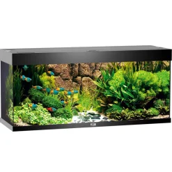 Juwel Aquarium Rio 240 121x41x55cm schwarz