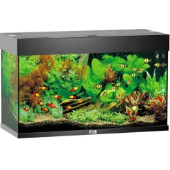 Juwel Aquarium Rio 125 81x36x50cm schwarz