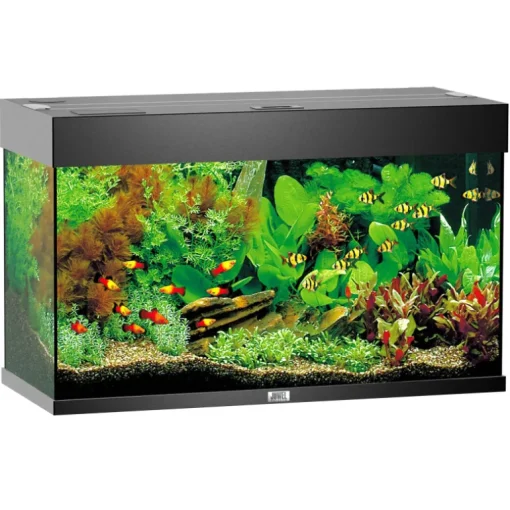 Juwel Aquarium Rio 125 81x36x50cm schwarz
