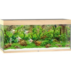 Juwel Aquarium Rio 240, 121x41x55cm,hell
