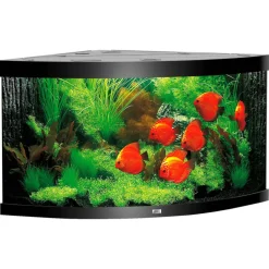 Juwel Aquarium Trigon 350 123x87x65cm schwarz
