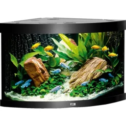 Juwel Aquarium Trigon 190 98.5x59.5x70cm schwarz