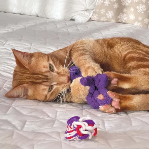 KONG Katzenspielzeug Active Rope Red & Purple