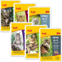 kyli Menu Mischkarton