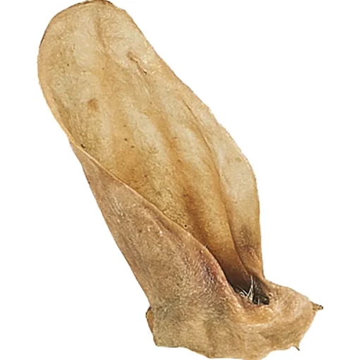 Lecky Kalbsöhrli mit Muschel 5Stk.