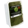 Lorica Lebendes Waldmoos