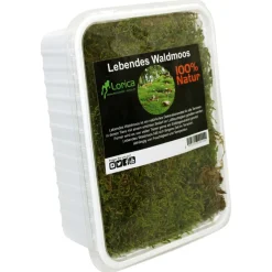 Lorica Lebendes Waldmoos