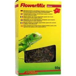 Lucky Reptile Flower Mix Hibiscus