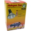 Lucky Reptile Halogen Sun 75W