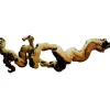 Lucky Reptile Premium Rebholz M