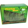 Lucky Reptile Vivarium Moos