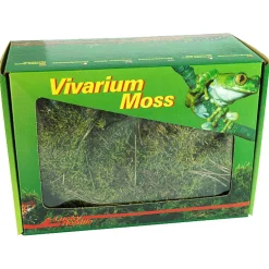 Lucky Reptile Vivarium Moos