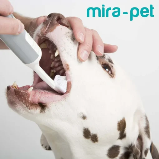 Mira-Pet Ultraschall Zahnreinigung Starter-Set für Hunde