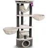 Petrebels Katzenbaum Kings & Queens Catharina 160 royalcream