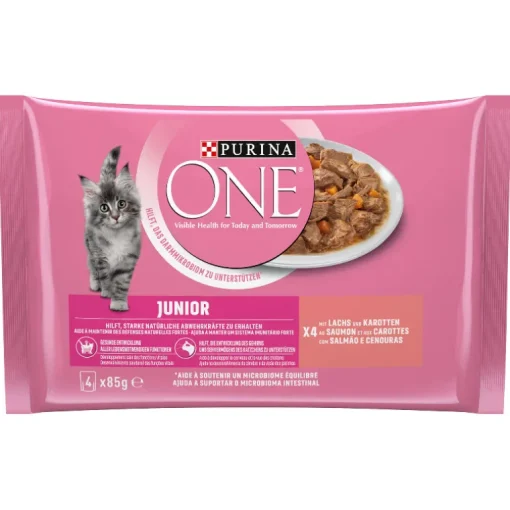 Purina ONE Junior Lachs Katzennassfutter
