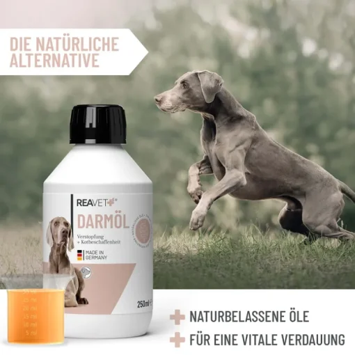 Reavet Darmöl für Hunde 250ml