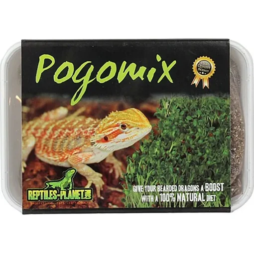 Reptile Planet Pogomix-Bartagamen Kräuterschale