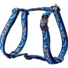Rogz Fancy Dress Jelly Bean CD S 23-37cm