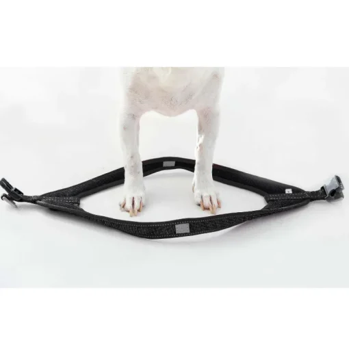 Rogz Fast-Fit Hundegeschirr S schwarz 41cm