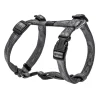 Rogz Geschirr Kilimanjaro L S 23-37cm