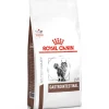 Royal Canin Cat Gastro Intestinal Dry