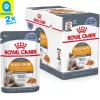 Royal Canin Hair & Skin in Gelée
