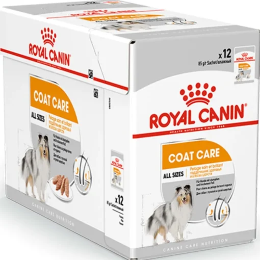 Royal Canin Hund Adult Coat Care Nassfutter für glänzendes Fell 12x85g