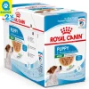 Royal Canin Hund Mini Puppy Welpenfutter nass 12x 85g