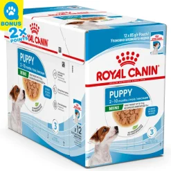 Royal Canin Hund Mini Puppy Welpenfutter nass 12x 85g