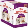 Royal Canin Katze FHN Sensory Taste in Sauce