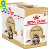 Royal Canin Katze Mainecoon 12x85g