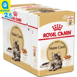 Royal Canin Katze Mainecoon 12x85g