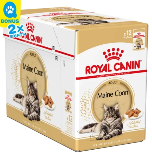Royal Canin Katze Mainecoon 12x85g