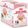 Royal Canin Kitten in Gelée