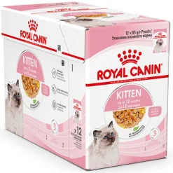 Royal Canin Kitten in Gelée