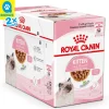 Royal Canin Kitten in Sauce