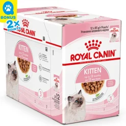 Royal Canin Kitten in Sauce