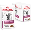 Royal Canin VET Katze Renal Rind 4x12x85g