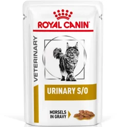 Royal Canin VET Katze Urinary S/O Häppchen in Sauce 12x85g