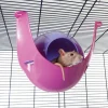 Savic Nagerhaus Sputnik XL gross