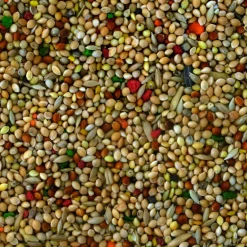 schweizer Qualitätsmischung Wellensittiche 1kg