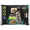 Sheba Kitten/Junior in Sauce Feine Vielfalt mit Lachs & Huhn