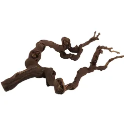 Terrarienholz Rebstock