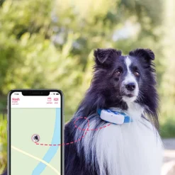 Tractive GPS Tracker DOG 4 für Hunde