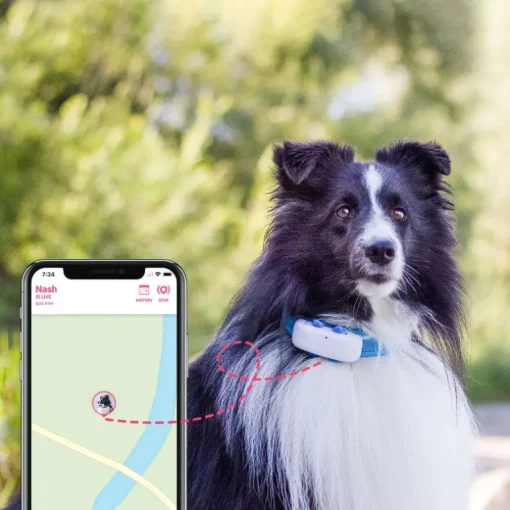 Tractive GPS Tracker DOG 4 für Hunde