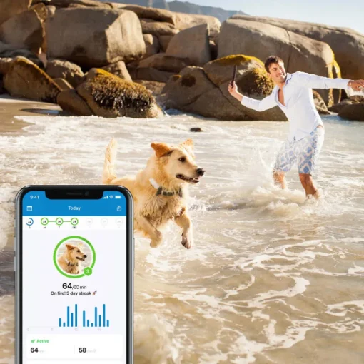 Tractive GPS Tracker DOG 4 für Hunde