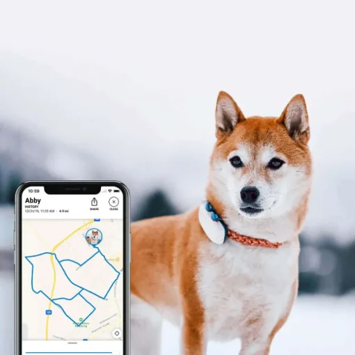 Tractive GPS Tracker DOG 4 für Hunde